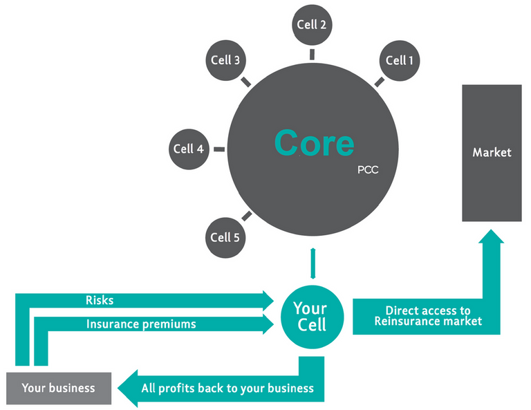 Protected Cell Company